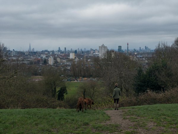 Les tendances en services de garde et pension pour animaux